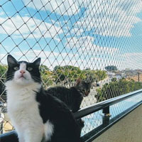 Segurança das redes